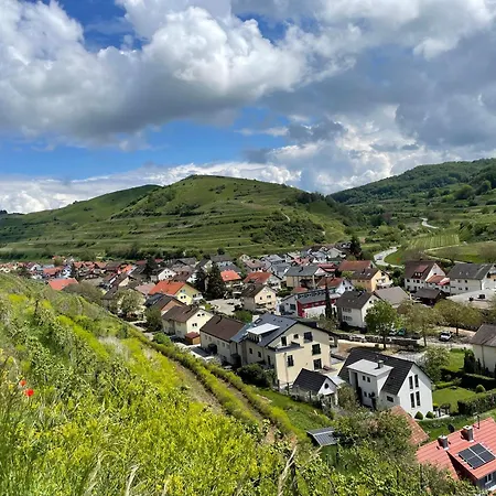 Lejlighed Wendehals Vogtsburg